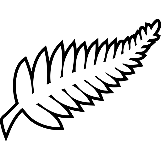 new zealand women's football team